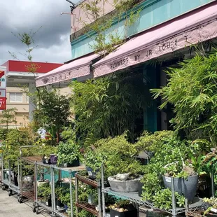 Located right next to 7-Eleven on King Street