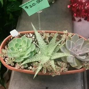 This was the best deal