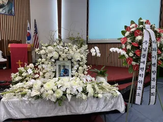 Rainforest at Kilohana Square