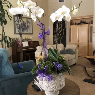 Peter Perkens did such a great job again! I called in for an arrangement and they took care of every single detail.