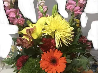 Exeter Flower