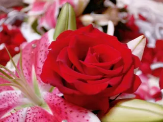 Diamante Floral