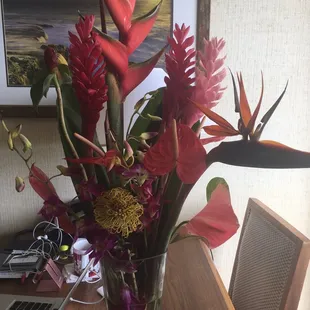 Birthday surprise lasted 11 days.