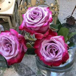 They are from Ecuador!  Beautiful