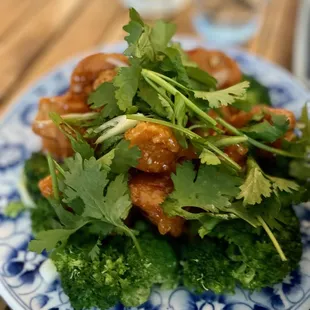Middle of the mall chicken - nothing insanely special (good for picky eaters)