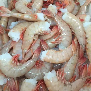 Fresh shrimp
