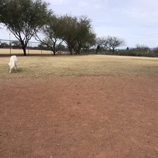 Open area