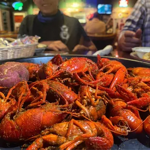 Crawfish currently $9.99/lb.