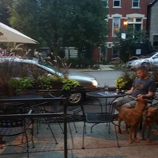 Dog friendly patio