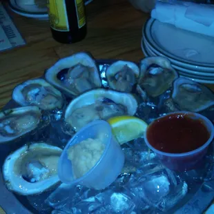 Raw Oysters