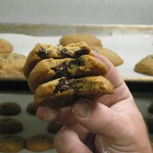 Chocolate Chip Minis!