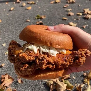 oysters and mussels, food