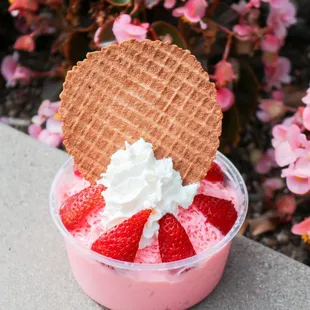 Strawberry Bing Snow