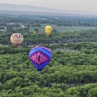 Balloons in the bosque