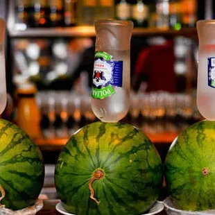 Let's rock this Party