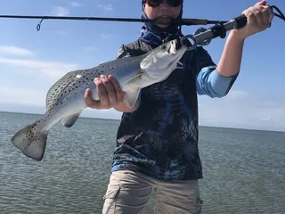 Swan Point Landing Rockport