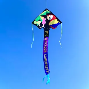 Jumbo Easy Flyer Kite