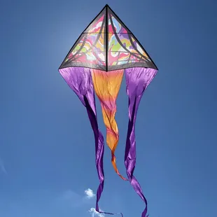 Delta Flo tail kite