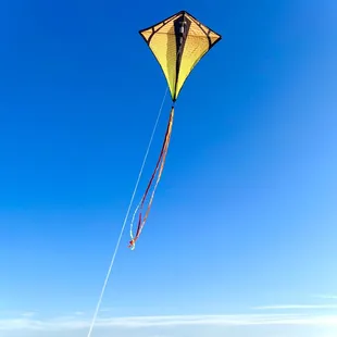 Diamond kite