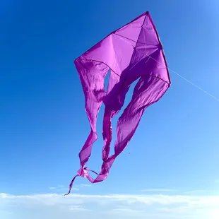 Purple delta Flo tail kite