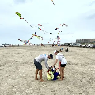 Flying kites on the beach
