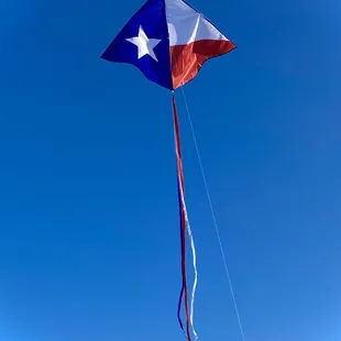 Texas delta kite