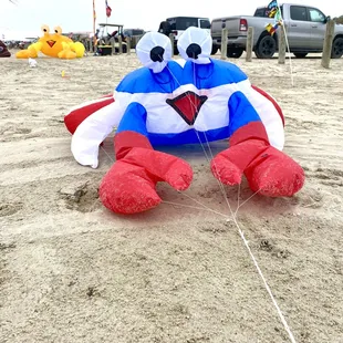 Patriot bouncing crab
