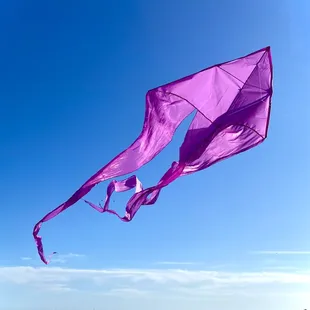 Purple delta flo tail kite