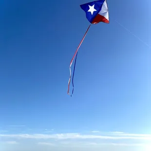 Texas delta kite