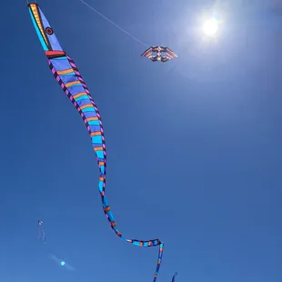 Eek line laundry and double box delta kite