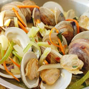 Steamers (Little Neck Clams)