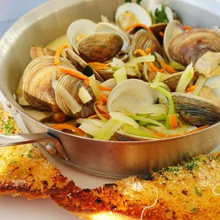 Steamers (Little Neck Clams)