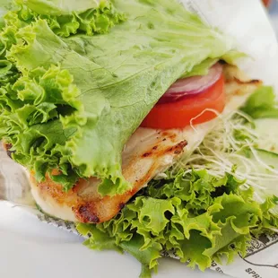 Grilled Mahi Mahi (from sandwich menu, made protein style)