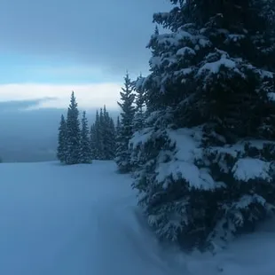 a cabin in the middle of the snow