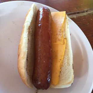 Hebrew National Hot Dog ... with a slice of cheese just for kicks!