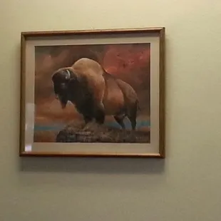 BUFFALO