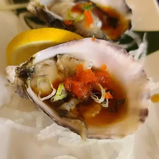 Close-Up of the Oysters   02-12-2023