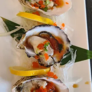 Oysters ($10.95)   02-12-2023