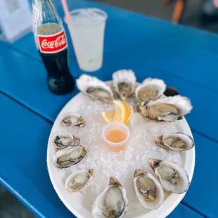 Fresh Oysters