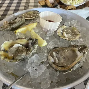 Oysters