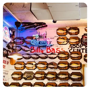 a display of various types of fish