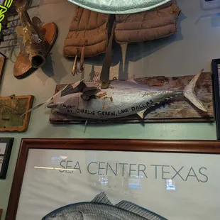 grilled fish, interior