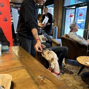 Coffee barista giving some bacon to one of the regular customer's dog