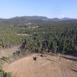 Clearcutting in progress