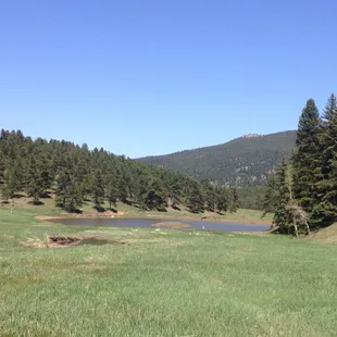 Gorgeous park