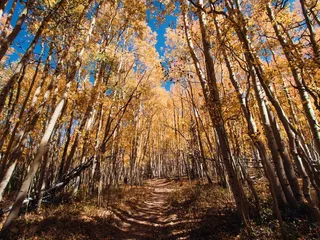 Abyss Trail