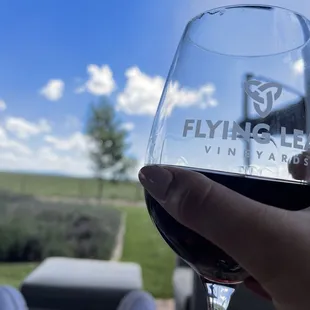 a hand holding a glass of wine