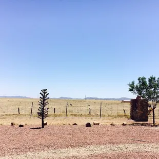 the view from the front porch.