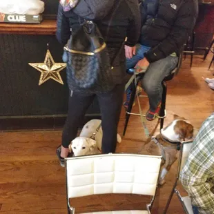 a woman and two dogs