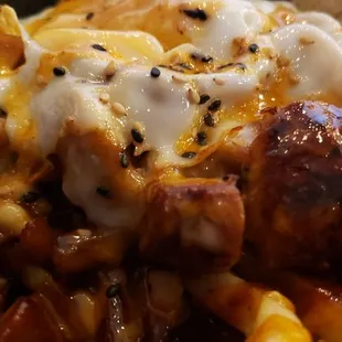 Close up kimchi gogi fries with chicken